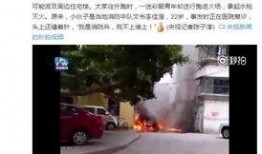 德州新闻爆料采访视频完整版,采访视频完整版深度解析