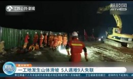 五公现场观众爆料视频,精彩瞬间回顾，揭秘现场热烈氛围