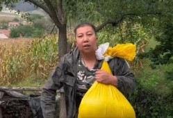 东北于姐最新爆料,娱乐圈幕后真相大曝光！