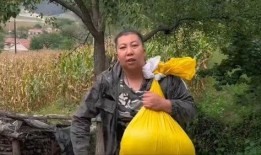 东北于姐最新爆料,娱乐圈幕后真相大曝光！