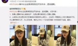 德州新闻爆料采访视频完整版,采访视频完整版深度解析