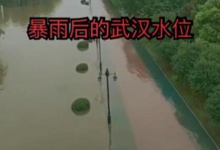 武汉江滩二桥最新爆料,最新爆料揭秘未来交通新地标