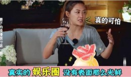 娱乐圈爆料真实情况,揭秘明星背后的真实故事