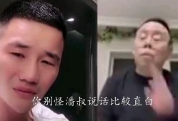 四哥爆料浩子视频播放全集,浩子视频全集播放大揭秘