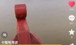 缅甸人直播爆料视频大全,揭秘真实生活瞬间