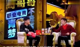 撒贝宁爆料综艺视频,揭秘娱乐圈幕后故事