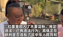 东北于姐最新爆料,娱乐圈幕后真相大曝光！